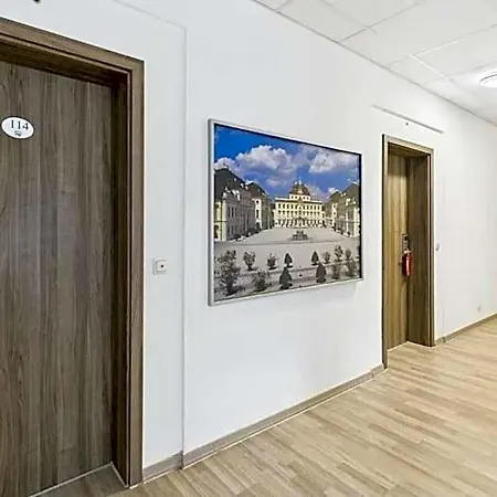 City Hotel فندق
